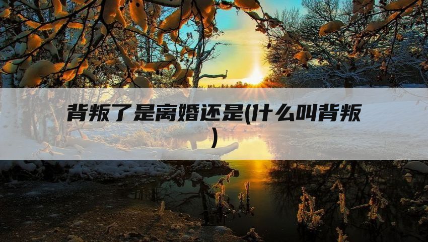 背叛了是离婚还是(什么叫背叛)