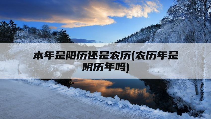 本年是阳历还是农历(农历年是阴历年吗)