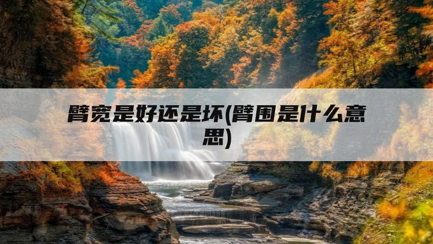 臂宽是好还是坏(臂围是什么意思)