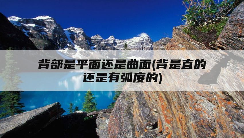 背部是平面还是曲面(背是直的还是有弧度的)