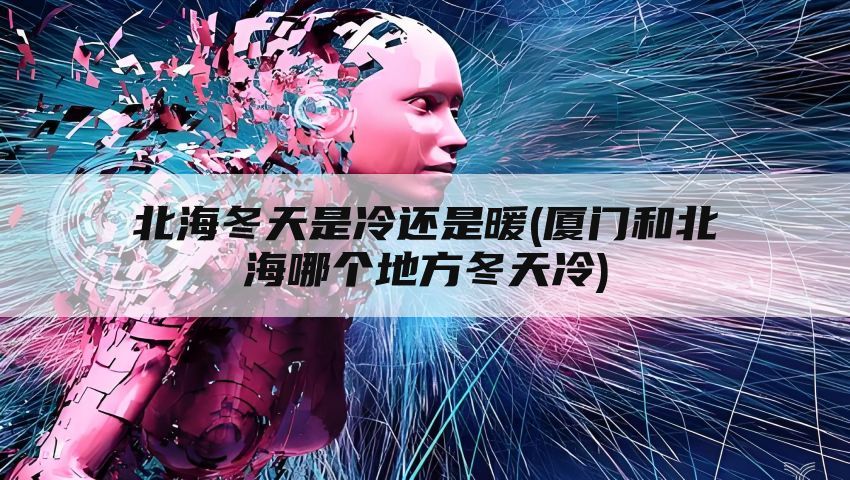 北海冬天是冷还是暖(厦门和北海哪个地方冬天冷)