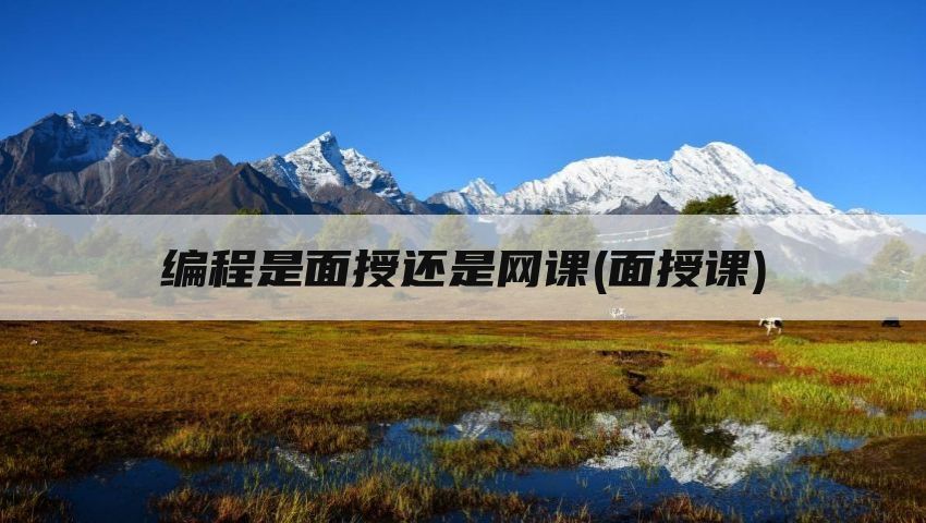 编程是面授还是网课(面授课)