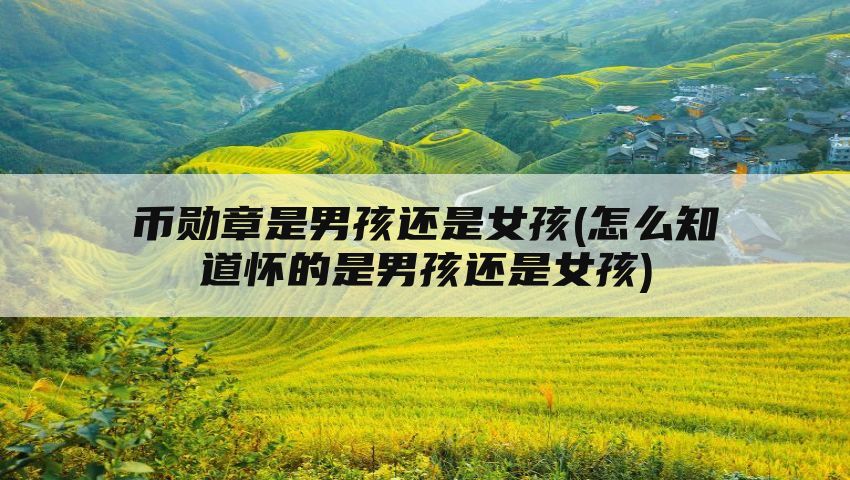 币勋章是男孩还是女孩(怎么知道怀的是男孩还是女孩)