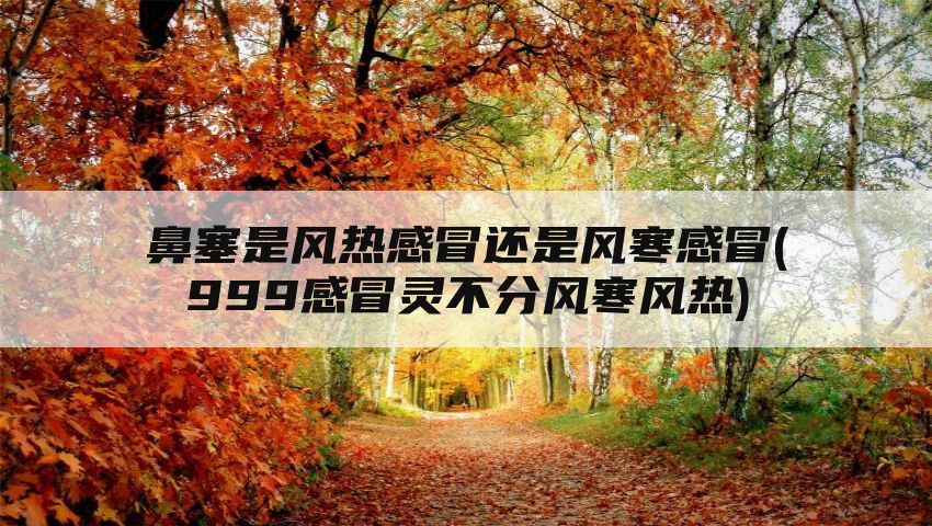 鼻塞是风热感冒还是风寒感冒(999感冒灵不分风寒风热)