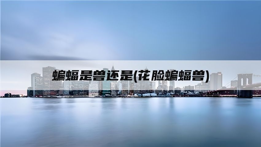 蝙蝠是兽还是(花脸蝙蝠兽)