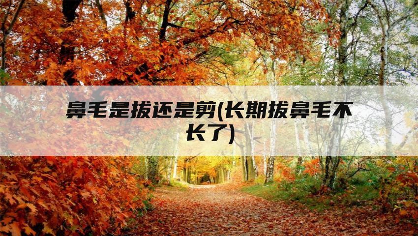 鼻毛是拔还是剪(长期拔鼻毛不长了)