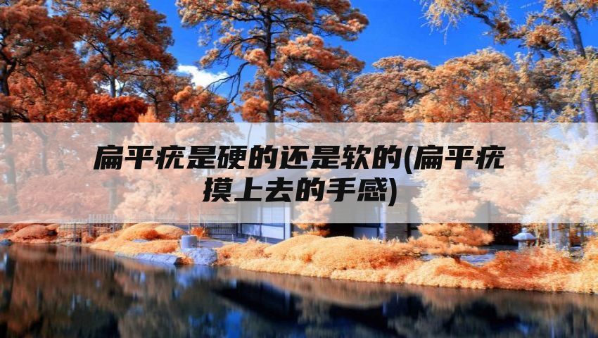 扁平疣是硬的还是软的(扁平疣摸上去的手感)