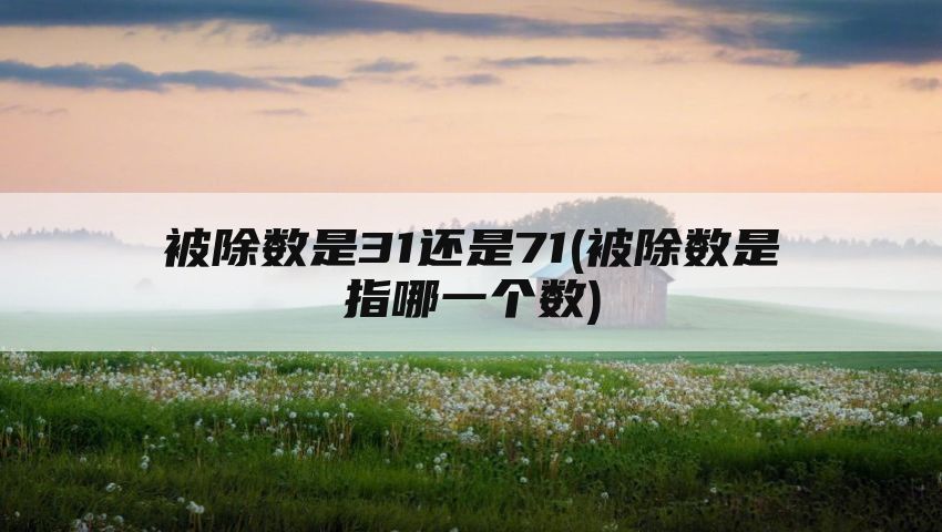 被除数是31还是71(被除数是指哪一个数)