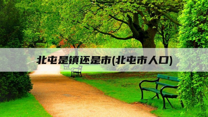 北屯是镇还是市(北屯市人口)