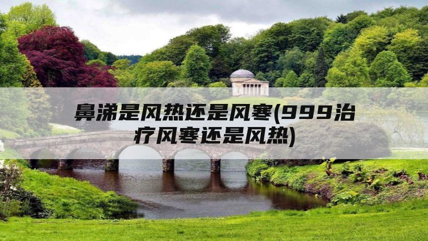 鼻涕是风热还是风寒(999治疗风寒还是风热)
