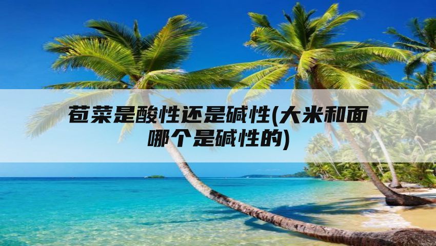 苞菜是酸性还是碱性(大米和面哪个是碱性的)