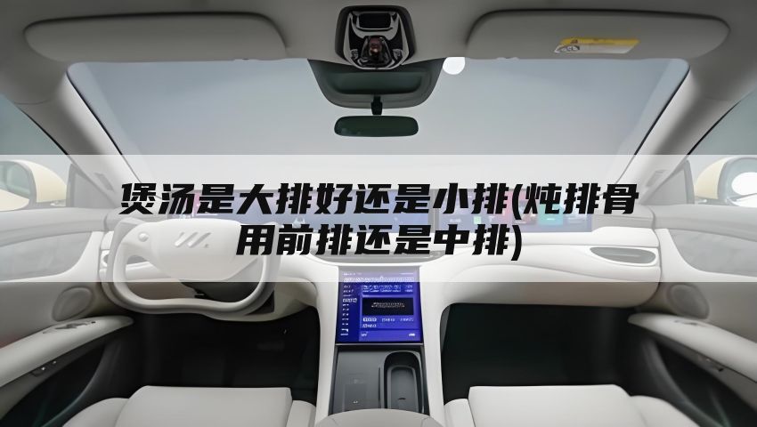 煲汤是大排好还是小排(炖排骨用前排还是中排)