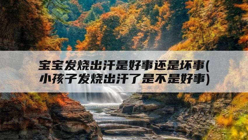 宝宝发烧出汗是好事还是坏事(小孩子发烧出汗了是不是好事)