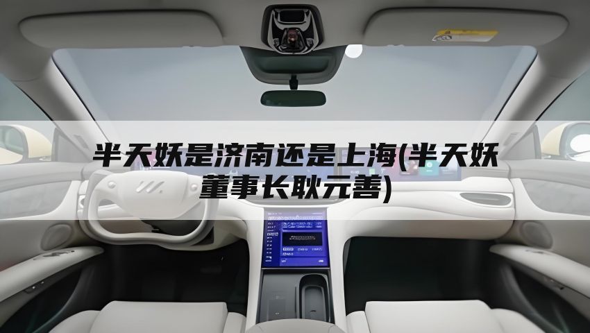 半天妖是济南还是上海(半天妖董事长耿元善)