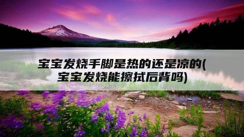 宝宝发烧手脚是热的还是凉的(宝宝发烧能擦拭后背吗)