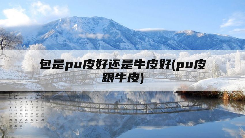 包是pu皮好还是牛皮好(pu皮跟牛皮)