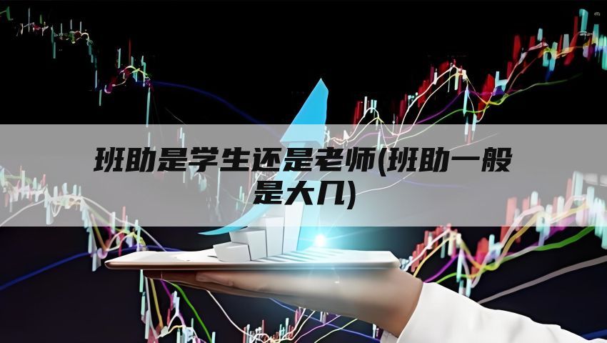 班助是学生还是老师(班助一般是大几)